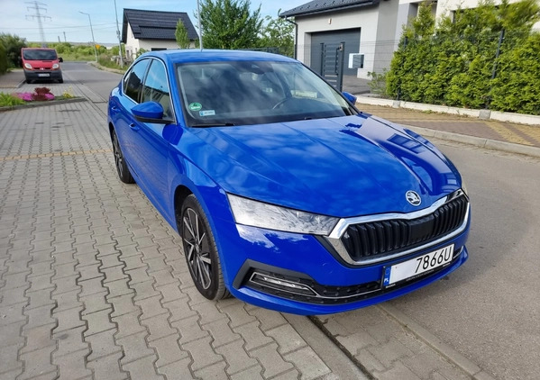 Skoda Octavia cena 108998 przebieg: 53000, rok produkcji 2020 z Sosnowiec małe 781